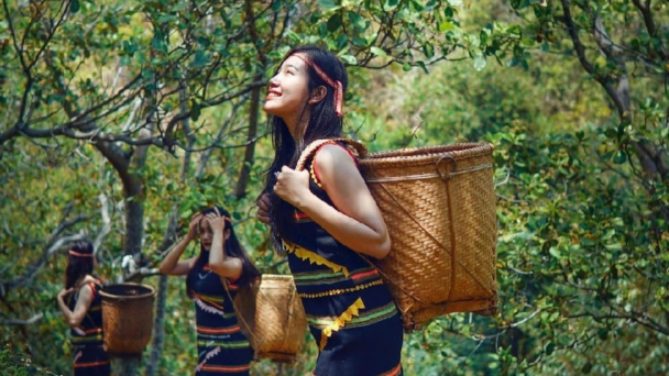Điều hữu cơ ngon nhất Việt Nam và giấc mơ thương hiệu Chapi