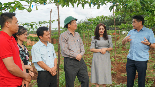 Khuyến nông cộng đồng: Làn gió mới cho khuyến nông cơ sở