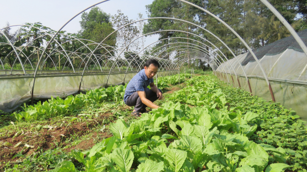 7 năm chinh phục đất cằn làm nông nghiệp hữu cơ