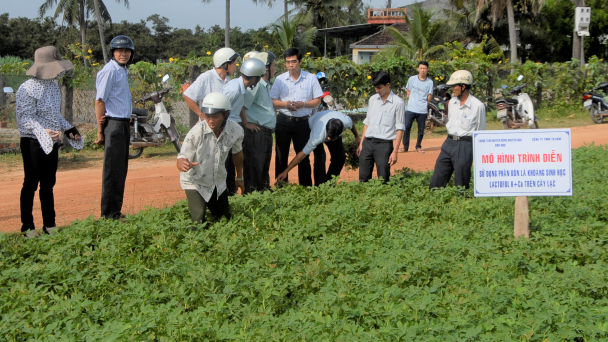 Nhiều điều ngạc nhiên ở nơi có năng suất lạc cao nhất nước