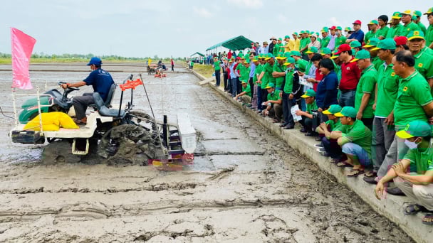 Hơn 300 nông dân phấn chấn xem máy gieo sạ chính xác