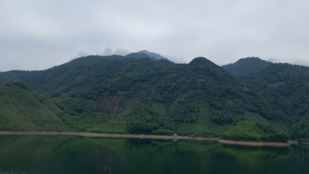 Những giai thoại về hổ ở rừng già Tam Đảo