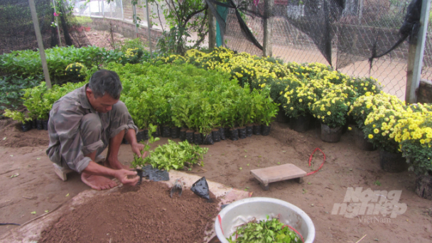 Khấm khá nhờ chuyển lúa trồng hoa, cây cảnh