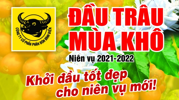 Tưới nước hiệu quả cho cà phê kinh doanh vào mùa khô