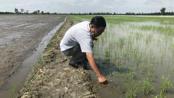 Khi nông dân là những chuyên gia