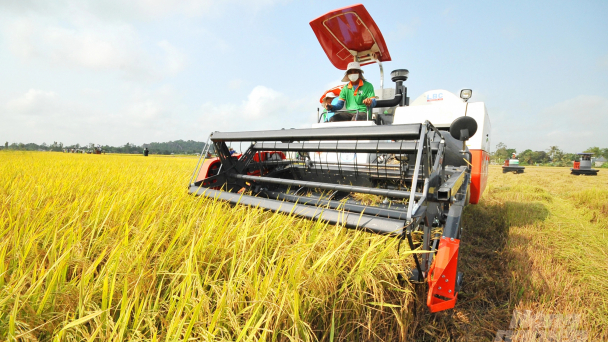 Nhân rộng quy trình kỹ thuật của Dự án VnSAT