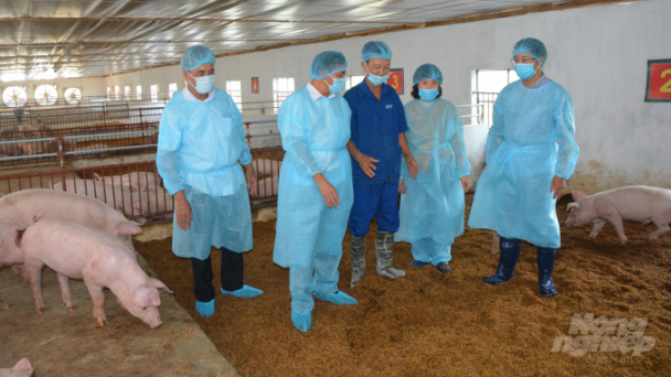 Chăn nuôi an toàn sinh học giải bài toán giá vật tư chăn nuôi tăng cao