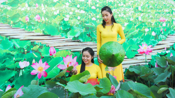 Đồng Tháp lần đầu tổ chức Lễ hội Sen để quảng bá du lịch