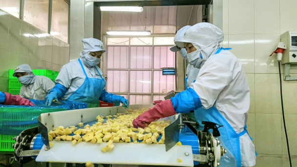 Thị trường EU, phép thử quan trọng cho nông sản Việt