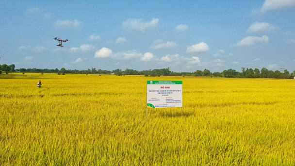 Cơ giới hóa sử dụng thuốc bảo vệ thực vật