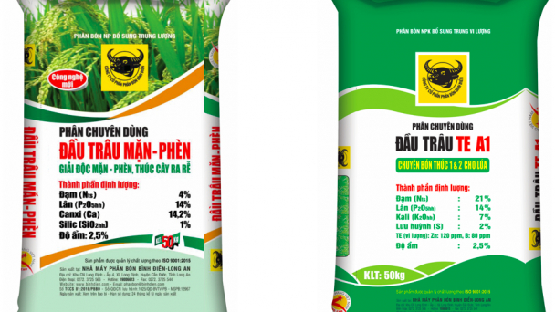 Những lưu ý đầu vụ lúa đông xuân ở ĐBSCL