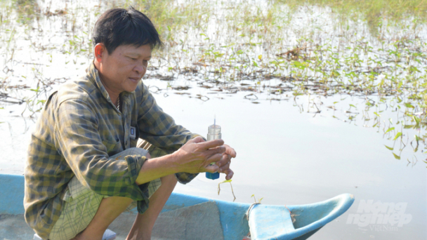 Nước mặn phập phù, nông dân nuôi tôm nước lợ gặp khó