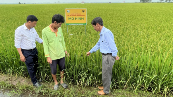 Phân bón Đầu Trâu cùng nông dân bảo vệ môi trường