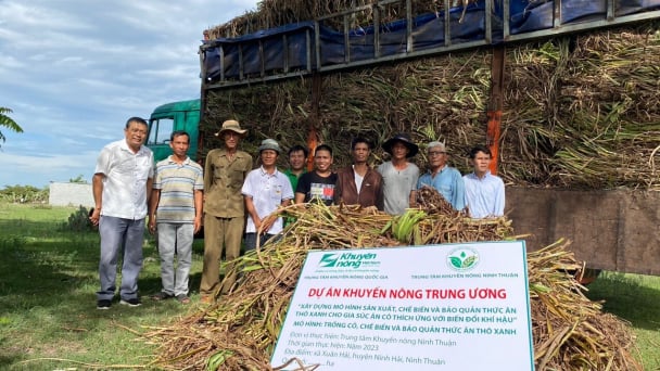 Hỗ trợ vật tư cho nông dân trồng cỏ chăn nuôi