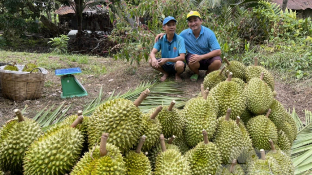 Tuyên truyền để nhà nông không phá bỏ cây ăn trái đặc sản