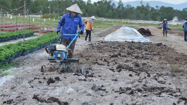 Quảng Bình hạn chế sử dụng phân bón hóa học và thuốc bảo vệ thực vật
