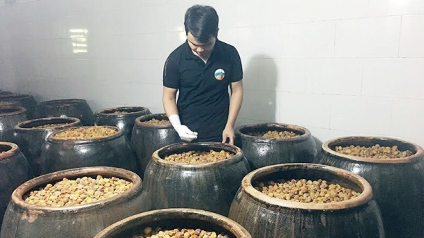 Người gây dựng thương hiệu rượu mơ Yên Tử