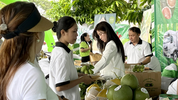 Tìm khách hàng khá giả cho nông sản hữu cơ Ninh Thuận