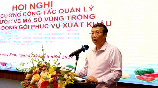 Sẽ áp dụng biện pháp mạnh để quản lý mã vùng trồng, cơ sở đóng gói