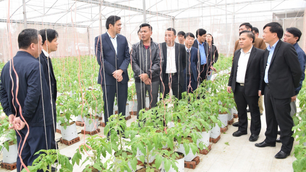 30 năm Khuyến nông Nghệ An: Bạn đồng hành tin cậy của nhà nông