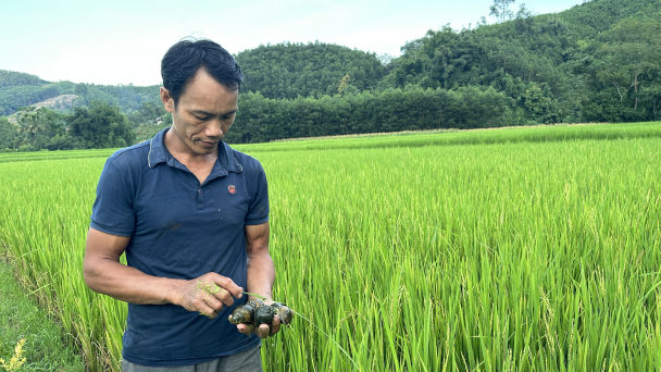 Giàu lên ở xã đặc biệt khó khăn nhờ mê nông nghiệp hữu cơ