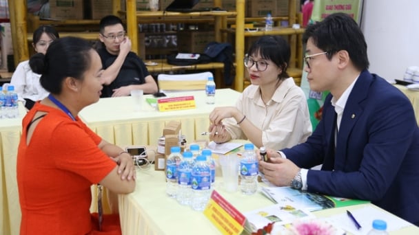 Gần 50 doanh nghiệp nước ngoài và Việt Nam tìm cơ hội giao thương