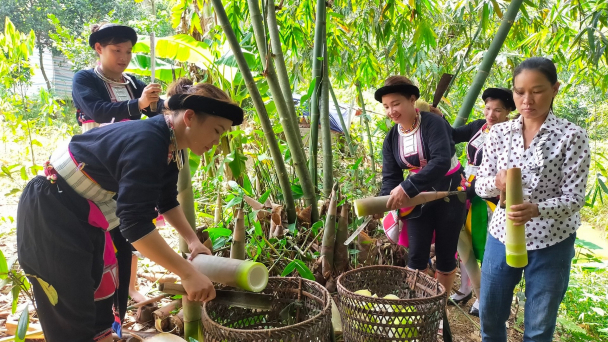 Những xã nghèo đổi thay ngoạn mục nhờ măng tre Bát Độ