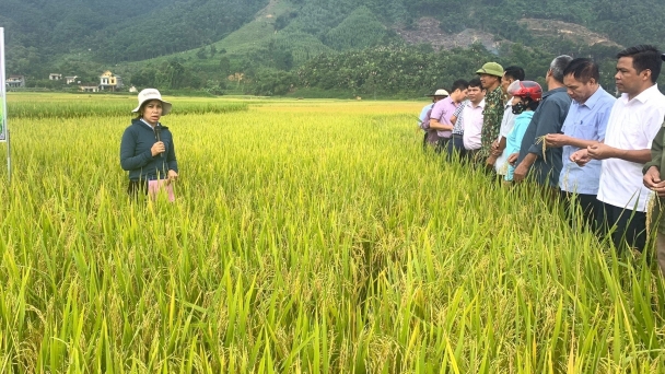 Khỏe cây, khỏe đất, khỏe người từ mô hình IPM