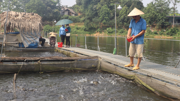 Nhiều hộ khó khăn vươn lên làm giàu nhờ vốn vay ưu đãi