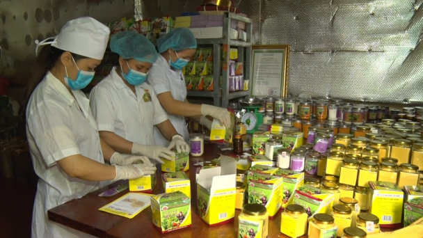 Tiêu thụ tốt nhưng sản phẩm OCOP 'đói' nguyên liệu