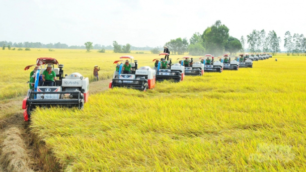 30 năm Khuyến nông Việt Nam, những dấu ấn để lại