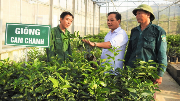Nơi lưu giữ hơn 450 cây ăn quả có múi bố mẹ