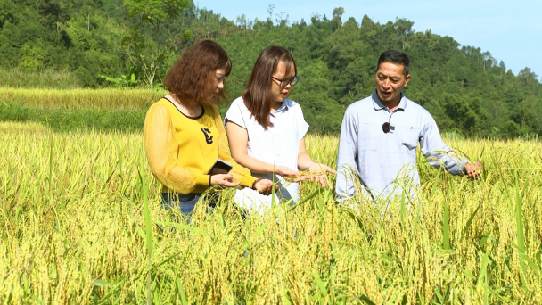 'Thiên thời, địa lợi' phát triển nông nghiệp hữu cơ
