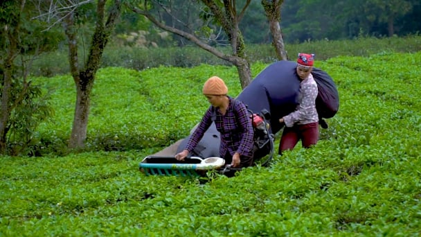 'Thay da đổi thịt' nhờ khoa học công nghệ