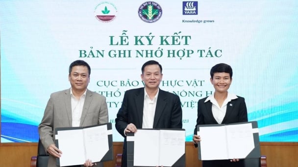 Hợp tác quản lý dinh dưỡng cây trồng, phát triển nông nghiệp bền vững