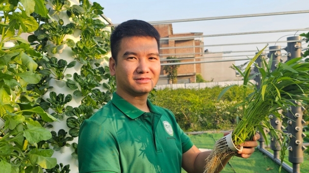 Trồng rau 'trên trời', thu tiền dưới đất