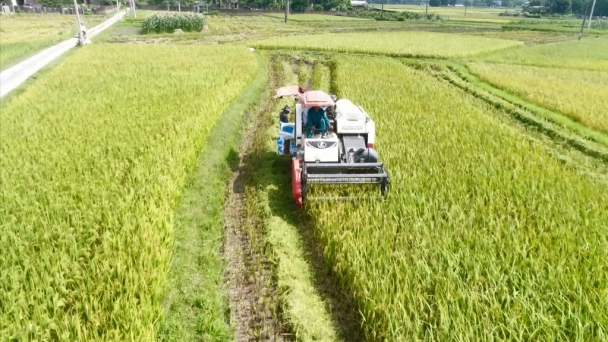 Cơ giới hóa nông nghiệp và tiền đề từ những cánh đồng đi mượn