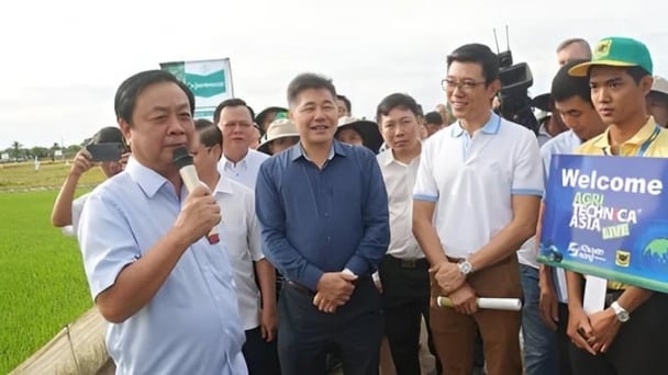 Đổi mới, củng cổ hệ thống tổ chức khuyến nông tinh gọn, hiệu quả