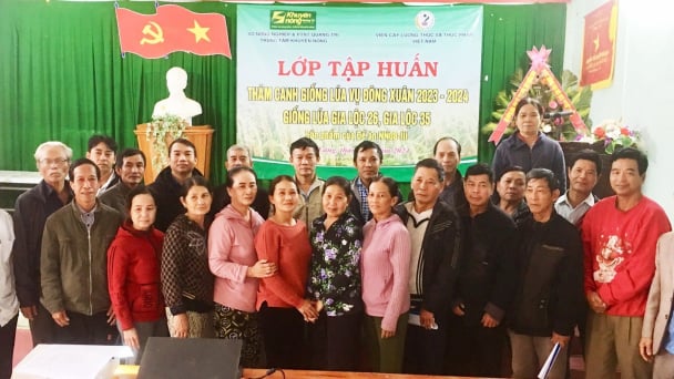 Tập huấn kỹ thuật thâm canh giống lúa thuần