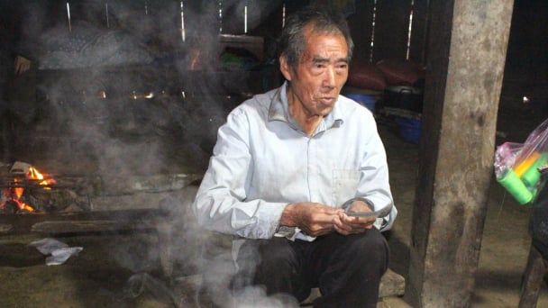 Chứng nhân thế kỷ giữ hồn chè Shan tuyết