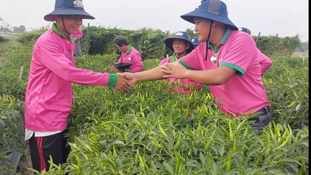 Nông dân hồ hởi ra đồng ngày đầu năm mới