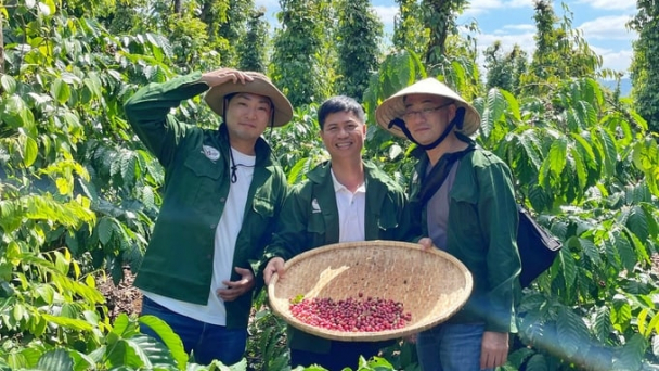 Tạo 4 nguồn thu nhờ kiên trì theo đuổi cà phê hữu cơ