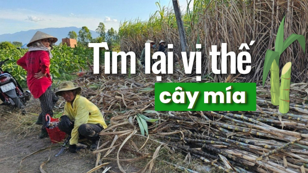 Nông dân ngày càng quay lưng