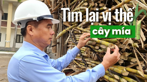 Kéo nông dân trở về vùng nguyên liệu