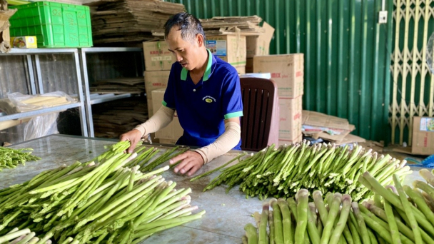 Vùng đất thiếu mưa, thừa nắng ấm no nhờ 'vua rau'