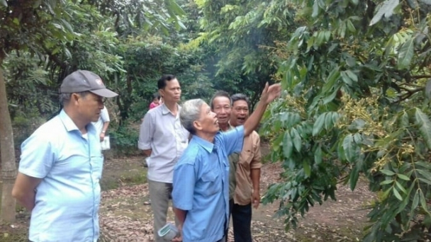 Hưng Yên làm sống lại các lớp học IPM