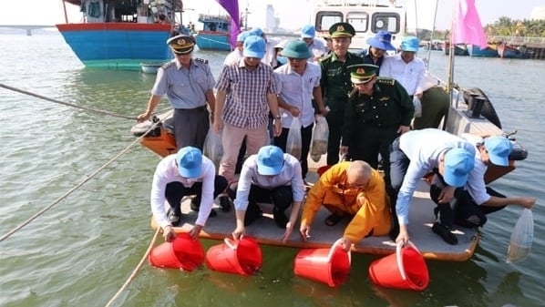 Thả 1 triệu con tôm sú giống xuống sông Nhật Lệ