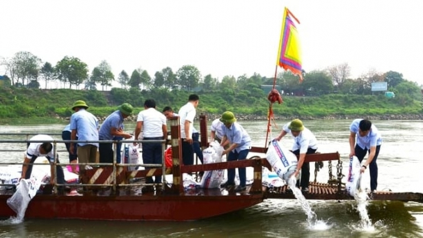 Bắc Ninh thả 55.500 cá giống