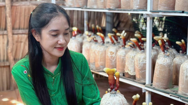 Cô gái sở hữu 6 trại nấm, thu nhập ổn định 20 - 25 triệu đồng/tháng