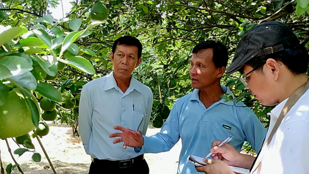 Chiến khu xưa chuyển mình sang sản xuất hữu cơ